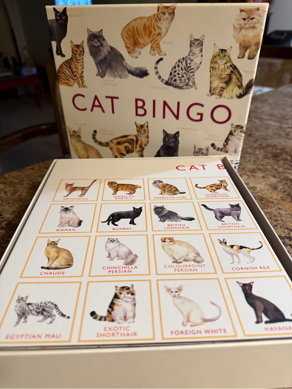 Cat Bingo Game - Picture 3 of 6